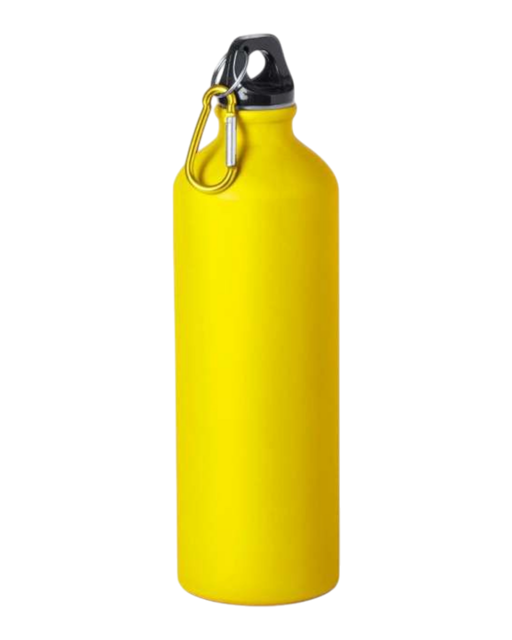 Expédition - Bidon 800ml