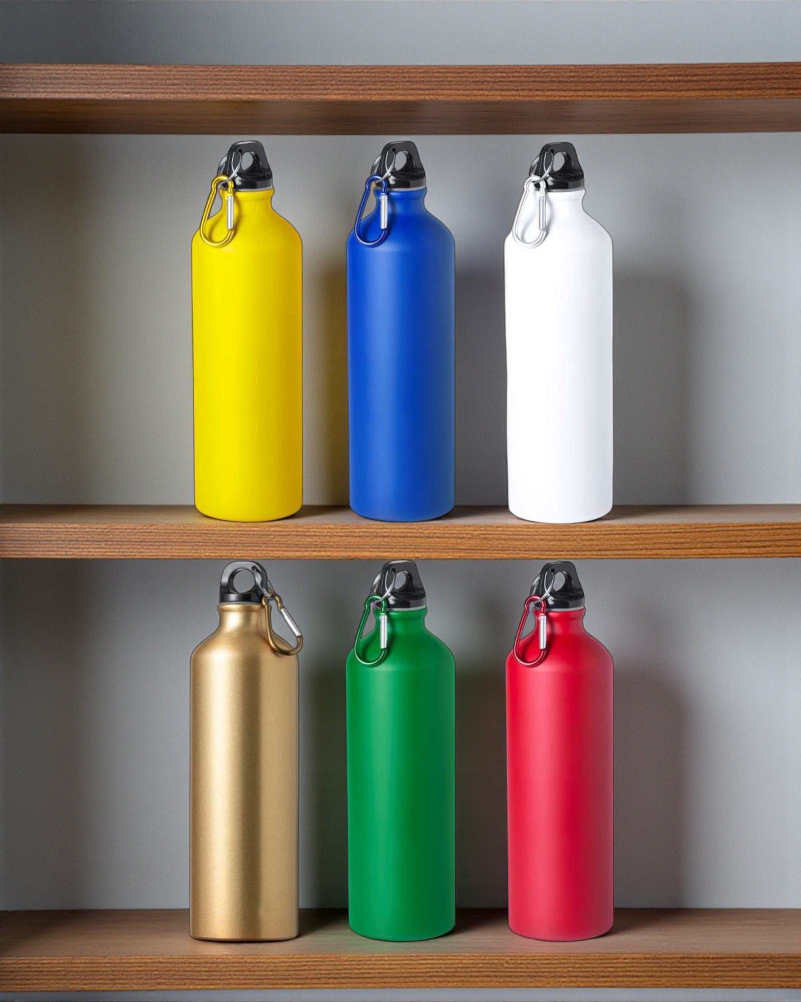 Expédition - Bidon 800ml